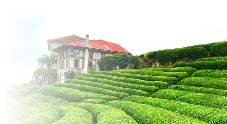 kurumsal tanıtım filmi